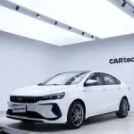 Geely Binrui 2024 из Китая