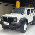 Tank Tank 300 2024 из Китая