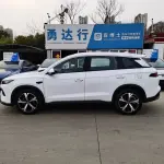 BYD Pro New Energy 2026 из Китая