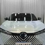 GAC Motor Shadow Cool 2023 из Китая