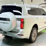Tank Tank 500 New Energy 2024 из Китая