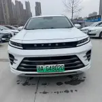 Exeed Zhaofeng C-DM 2023 из Китая