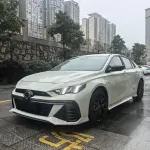 GAC Motor Shadow Leopard 2023 из Китая