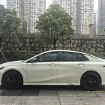 GAC Motor Shadow Leopard 2023 из Китая