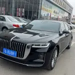 Hongqi Hongqi H9 2021 из Китая