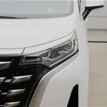 Denza Denza D9 2024 из Китая