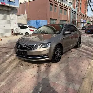 Skoda Octavia 2018 из Китая