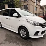 大通 G10 2019 из Китая