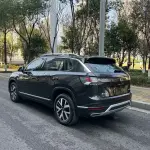 Volkswagen Tayron 2023 из Китая