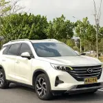 GAC Motor Trumpchi GS5 2019 из Китая