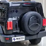 Tank Tank 300 2021 из Китая