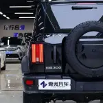 Tank Tank 300 2021 из Китая