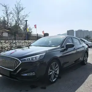 Hongqi Hongqi H5 2019 из Китая