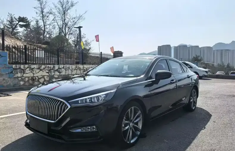 Hongqi Hongqi H5 2019 из Китая