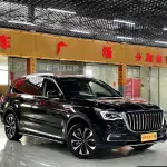 Hongqi Hongqi HS7 2023 из Китая