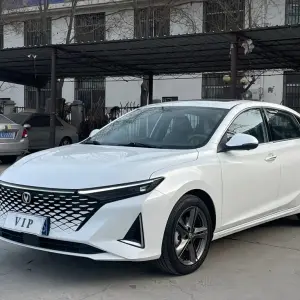 Changan Ruicheng PLUS 2024 из Китая