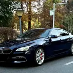 BMW 6 Series 2017 из Китая