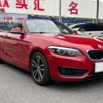 BMW 2 Series (Import) 2018 из Китая