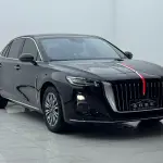 Hongqi Hongqi H5 2024 из Китая