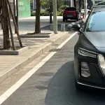 Hongqi Hongqi H5 2022 224 л.с. из Китая