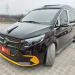 普曼·巅峰 天枢系列 2025 из Китая