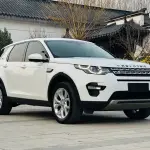 Land Rover Discovery Sport 2019 241 л.с. 241 л.с. 241 л.с. из Китая