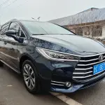 BYD MAX 2020 из Китая