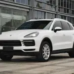 Porsche Cayenne 2019 из Китая