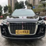 Hongqi Hongqi HS5 2023 224 л.с. — лот 57729650 из Китая
