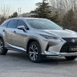 Lexus RX 2020 313 л.с. из Китая