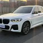BMW X3 2020 из Китая