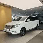 Bisu Bisu M3 2018 из Китая