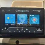 BYD Tang New Energy 2019 из Китая