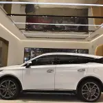 BYD Tang New Energy 2019 из Китая