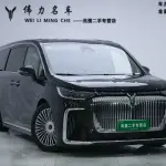 VOYAH Dreamer 2024 из Китая