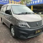 Fengxing Lingzhi 2020 из Китая