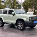 Tank Tank 300 2024 из Китая