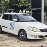 Skoda Fabia 2013 из Китая