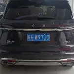 Hongqi Hongqi HS7 2023 из Китая