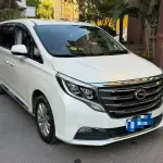 GAC Motor Trumpchi M8 2019 201 л.с. — лот 57738002 из Китая
