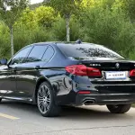 BMW 5 Series 2019 252 л.с. — лот 57739341 из Китая