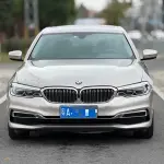BMW 5 Series 2019 252 л.с. — лот 57747380 из Китая