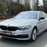 BMW 5 Series 2019 252 л.с. — лот 57742961 из Китая
