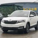 Skoda Kamiq 2022 из Китая