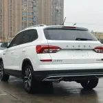 Skoda Kamiq 2022 из Китая