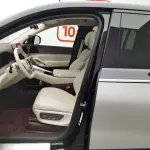 Denza 腾势N9 2025 из Китая