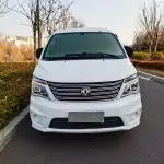 Fengxing Lingzhi 2020 122 л.с. из Китая