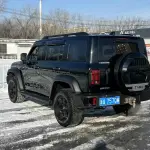 Tank Tank 300 2023 из Китая