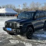 Tank Tank 300 2023 из Китая