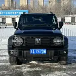Tank Tank 300 2023 из Китая